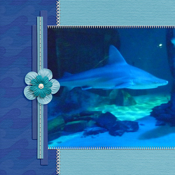 Shark