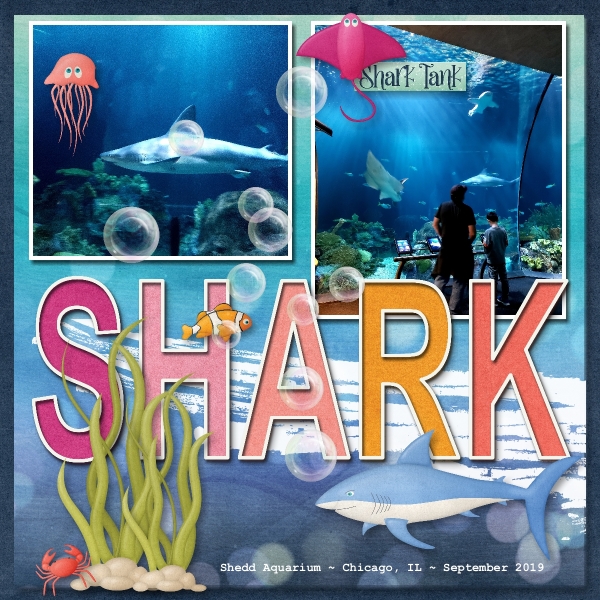 Shark_Jun22_Template_Challenge1