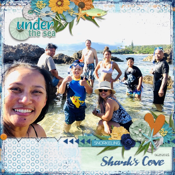 Shark's Cove