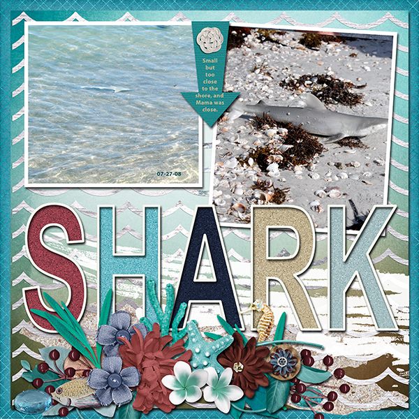 Sharks