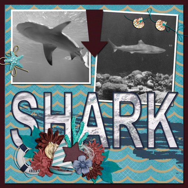 sharks