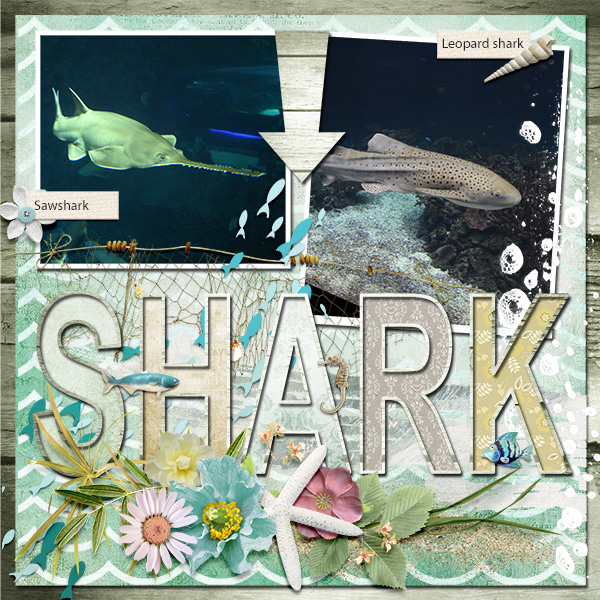 Sharks