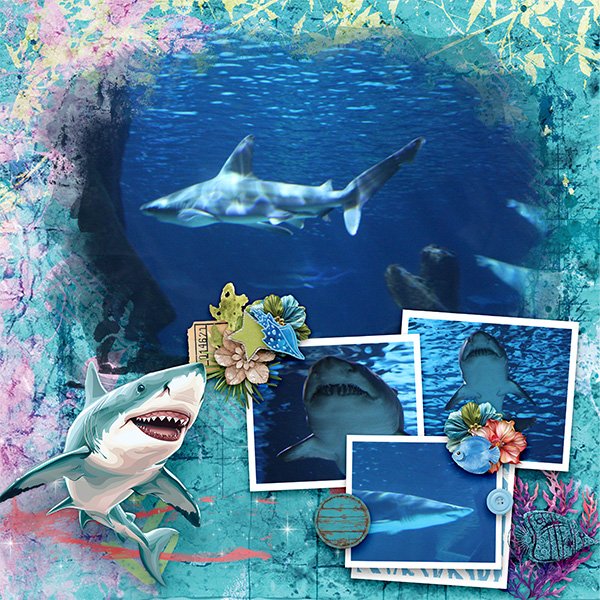 Sharks