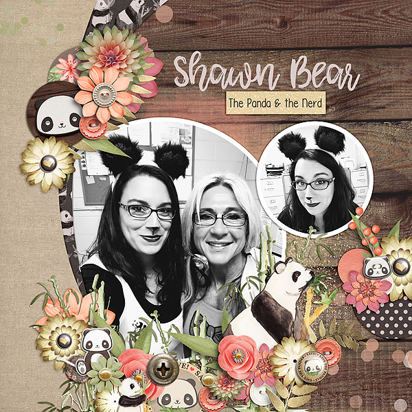 Shawn Bear the Panda Bear