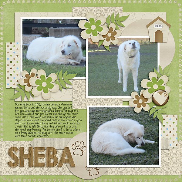 Sheba