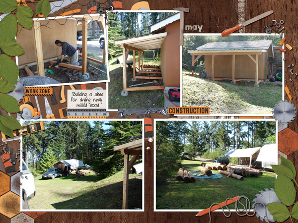 Shed Building