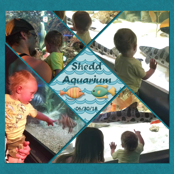 Shedd Aquarium - Gabriel