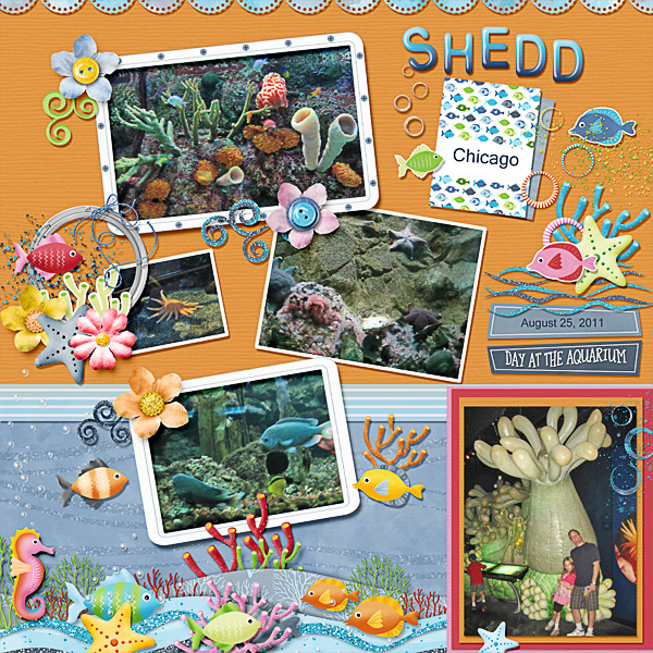 Shedd Aquarium in Chicago