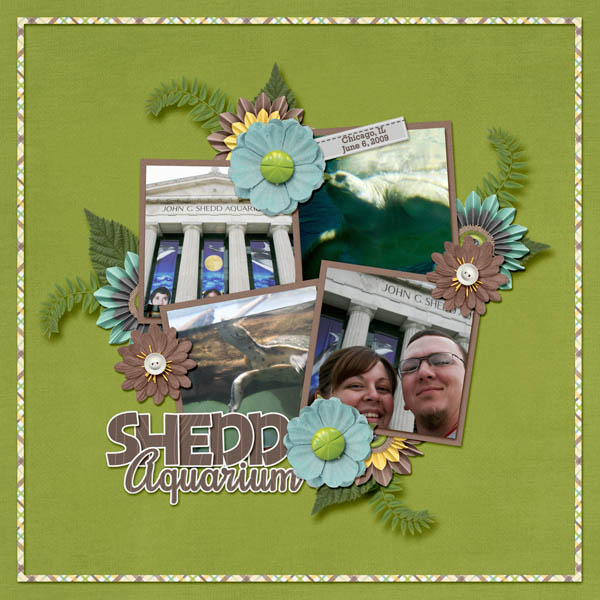 Shedd Aquarium