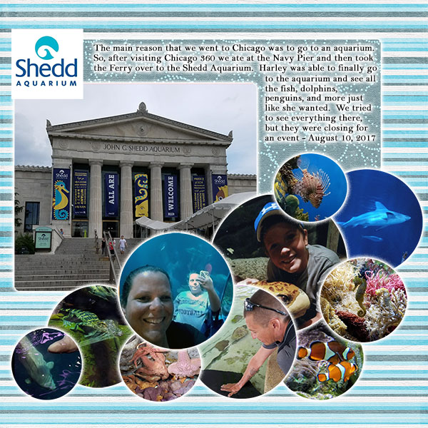 Shedd Aquarium