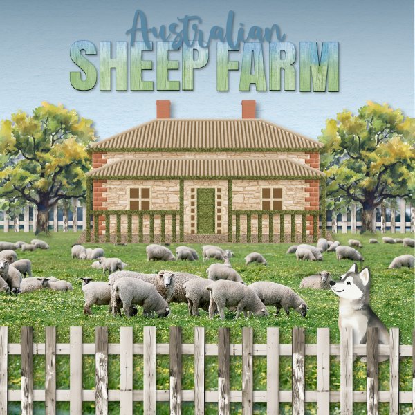 sheep farm