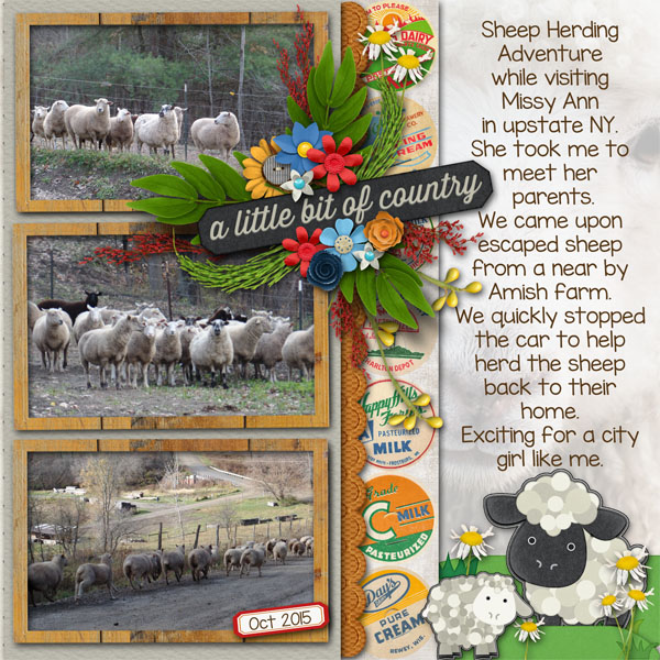 Sheep_Herding