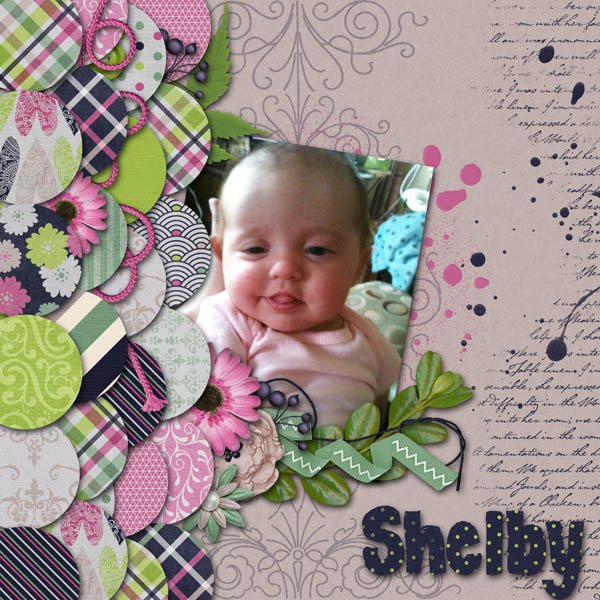 Shelby
