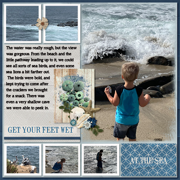 Shell Beach San Diego