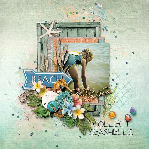 Shell Collector