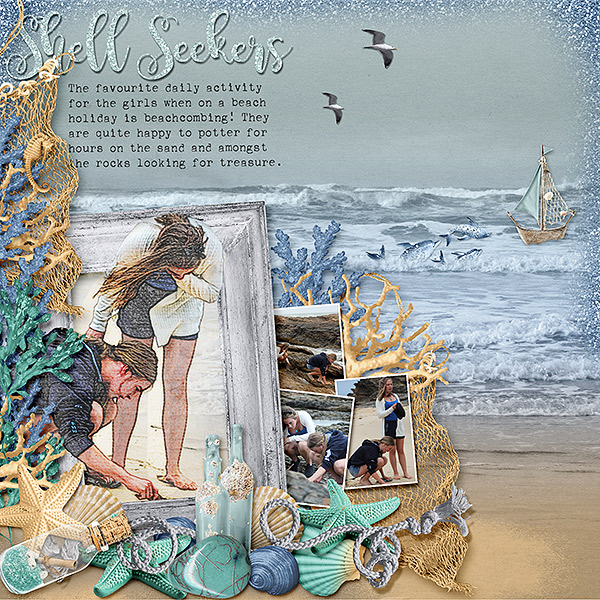Shell Seekers
