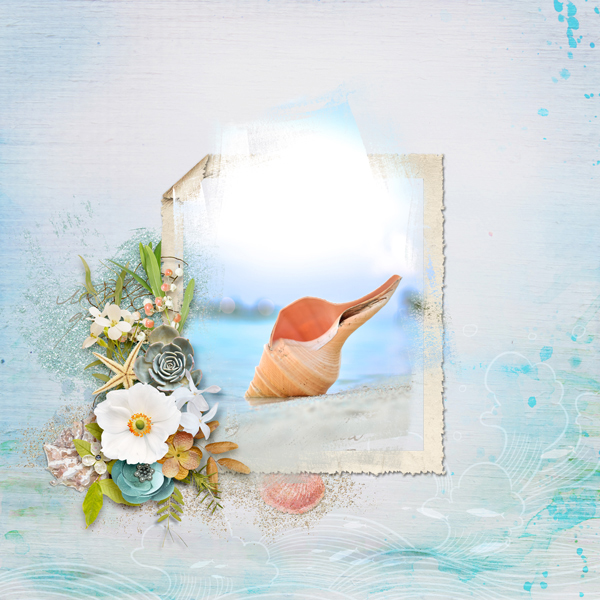 Shell Story