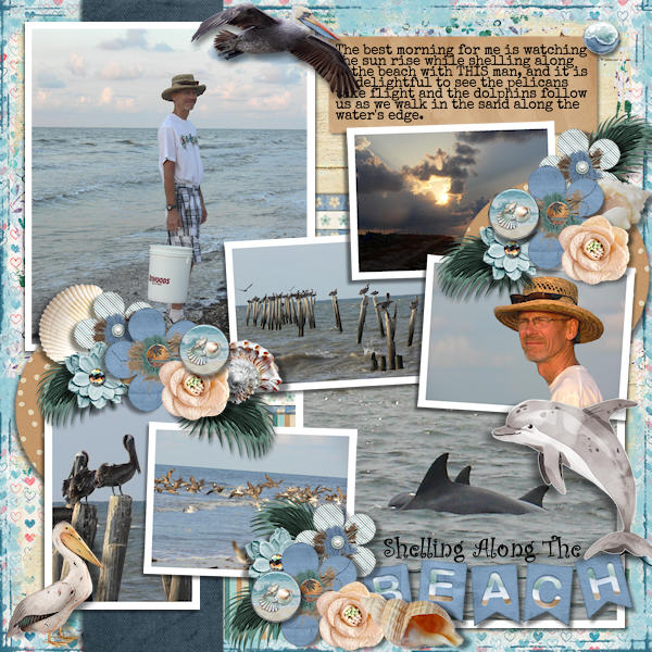 Shelling Along The Beach