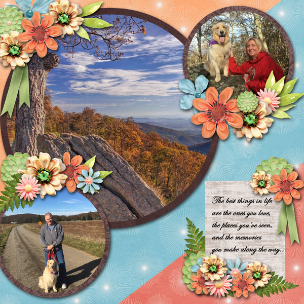 Shenandoah NP 3
