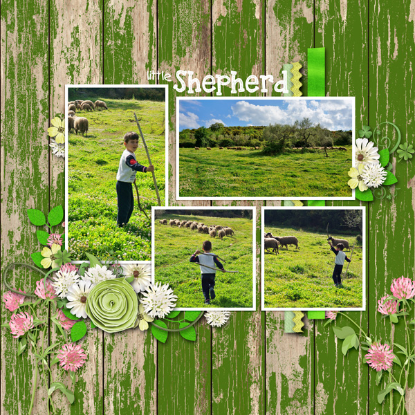 shepherd