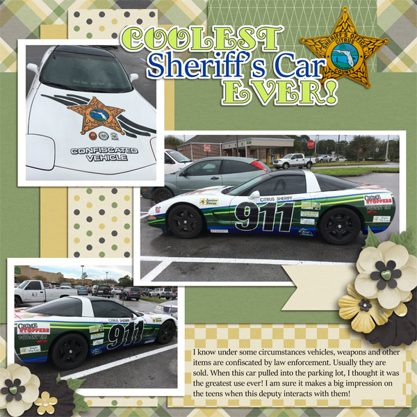 Sheriff's Car