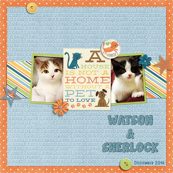 Sherlock and Watson