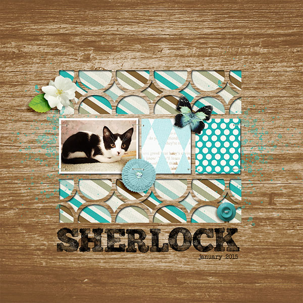 sherlock