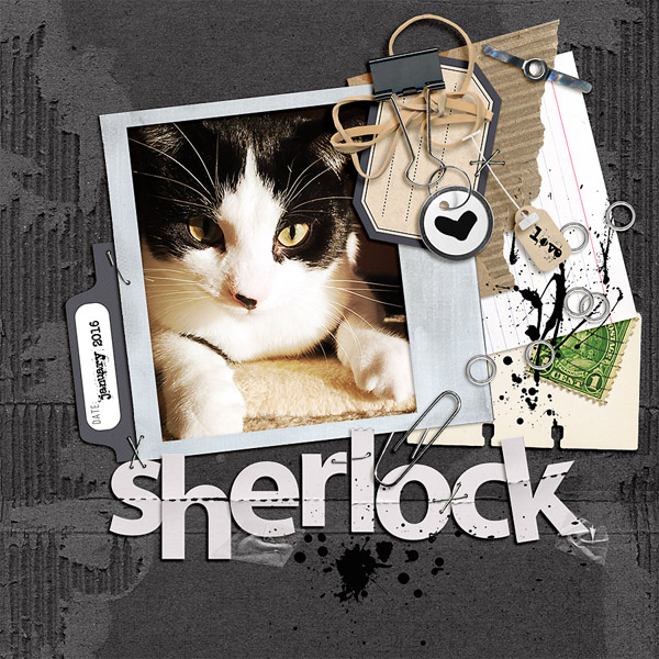sherlock