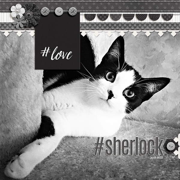 #sherlock