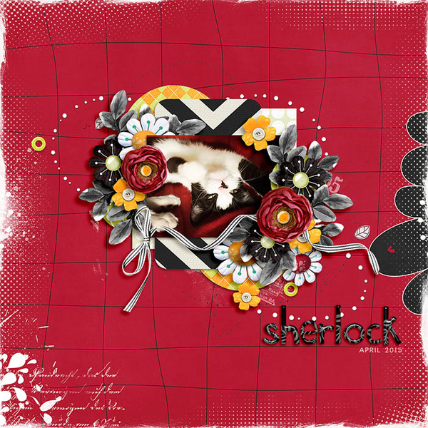 Sherlock