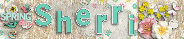 Sherri Apr 19 Signature