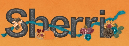 Sherri Fall Signature