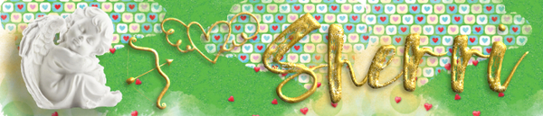 Sherri February 2020 Signature