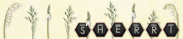 Sherri March 17 Signature