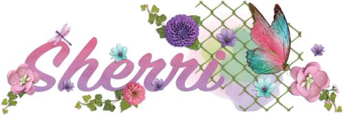 Sherri Siggy