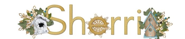 Sherri Signature