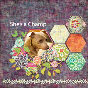 She's a Champ
