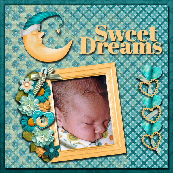 Shhhh Baby Sleeping