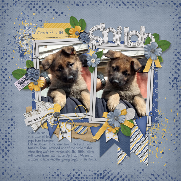 Shiloh