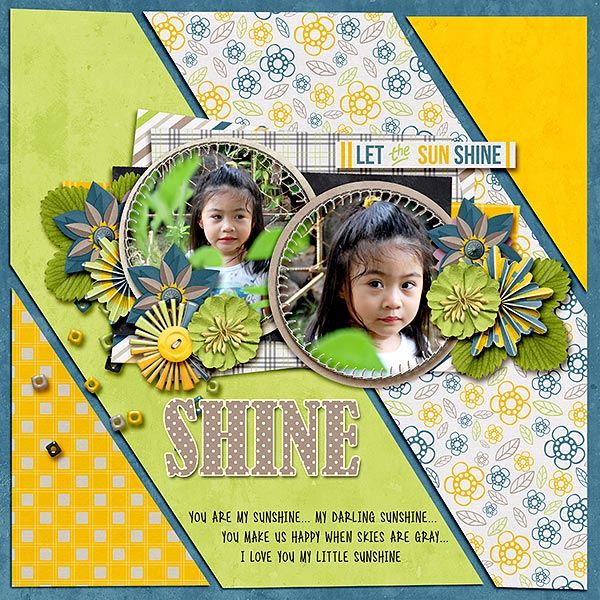 Shine Ally