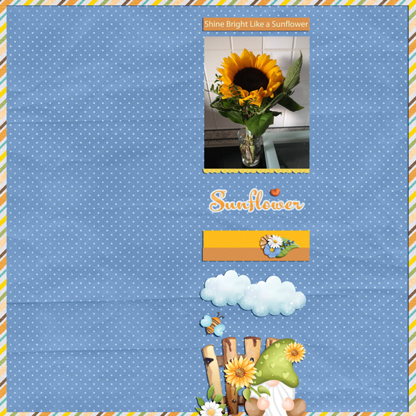 shine bright like a sunflower
