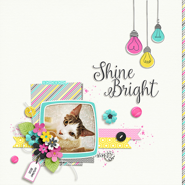 shine bright