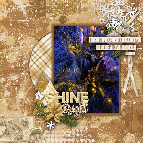 Shine Bright
