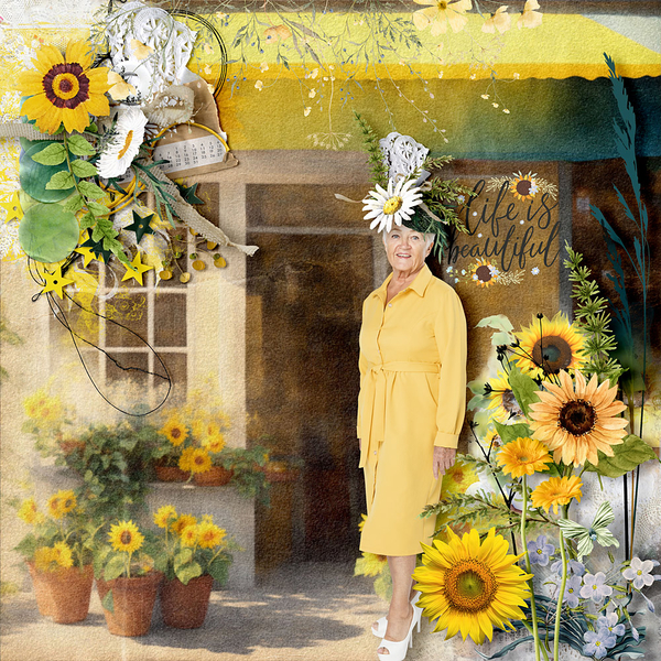 Shine Like a Sunflower