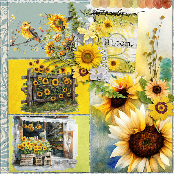 Shine like a Sunflower