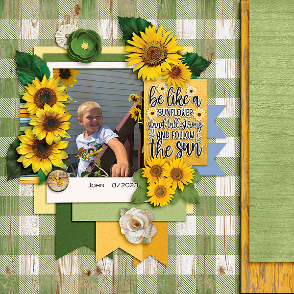 Shine Like a Sunflower