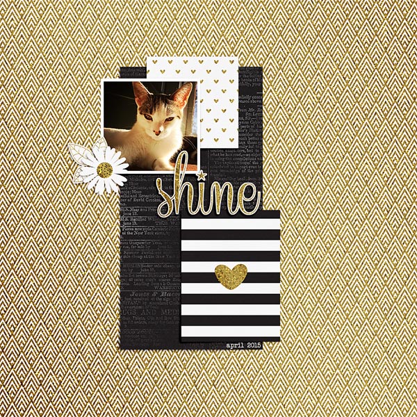 shine