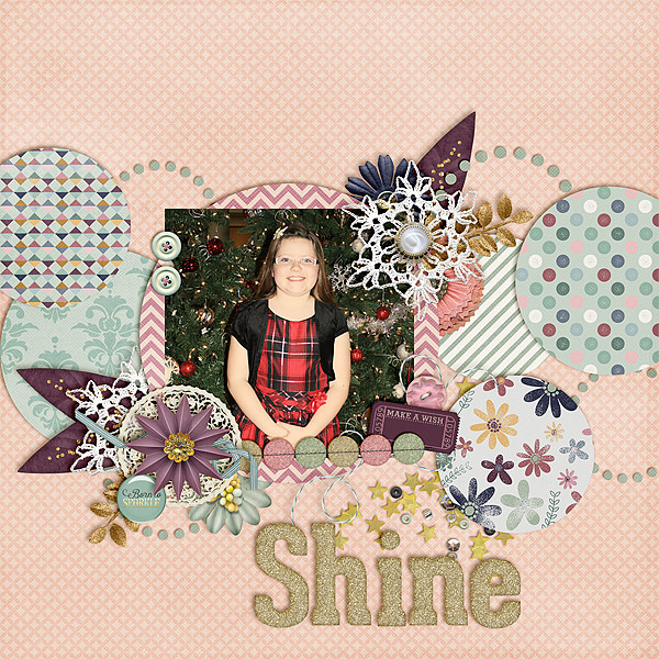 Shine6