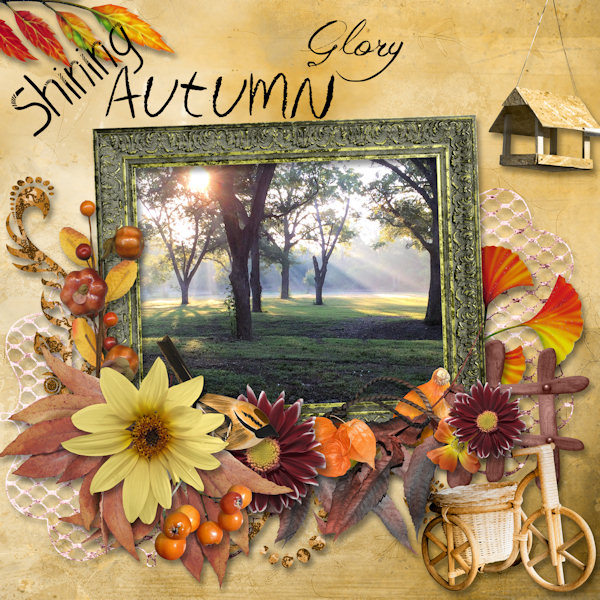 Shining Autumn Glory