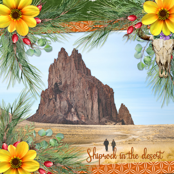 Shiprock in the desert!